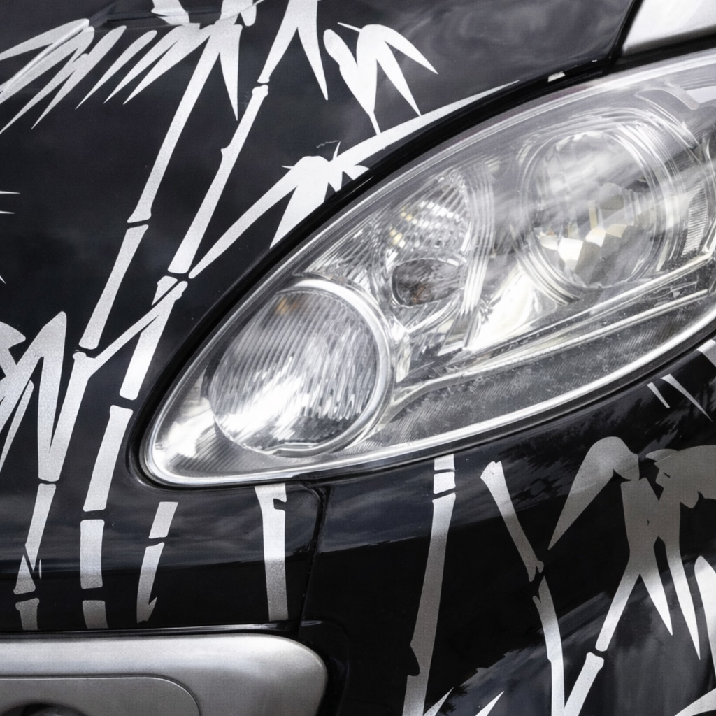 Silver Bamboo Design on Smart car